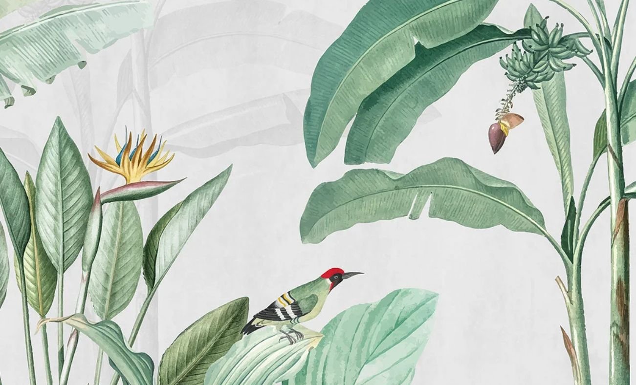 Create the Perfect Room Ambience with Nature Wallpaper